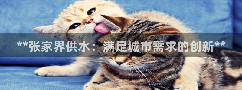 球友会提款审核
