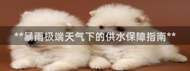 球友会体育app官方版下载安装手机