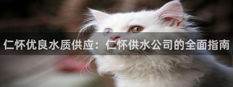 球友会app干啥的软件