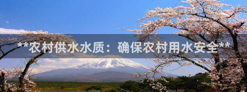 球友会兑换码