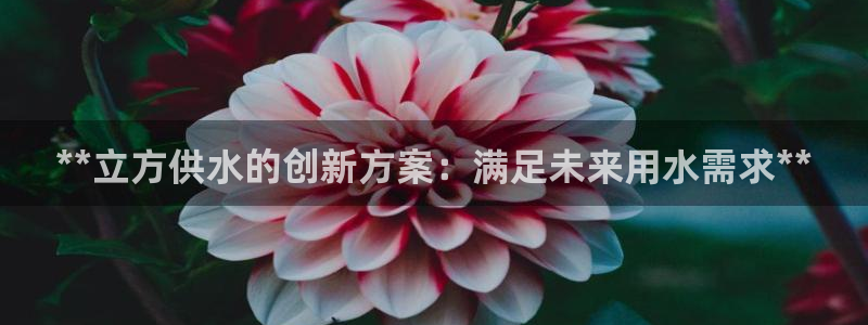 球友会是什么