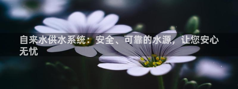 qy球友会体育