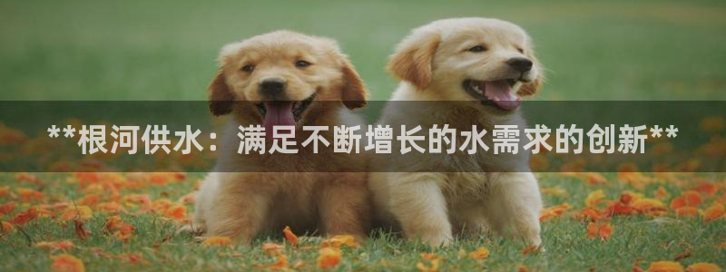 球友会友谊赛赛程