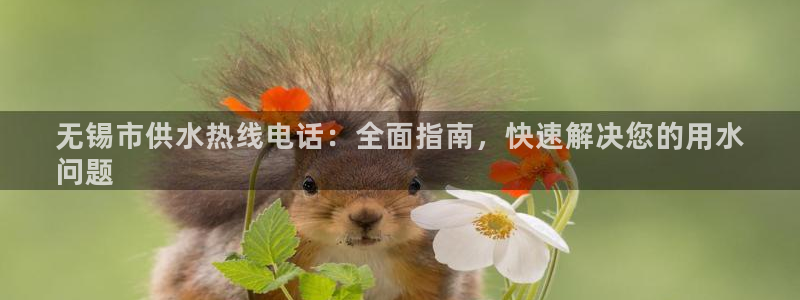 球友会官网入口网址