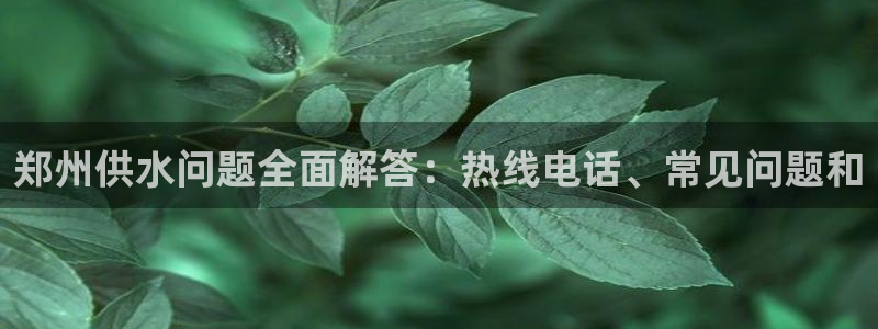 球友会破解码
