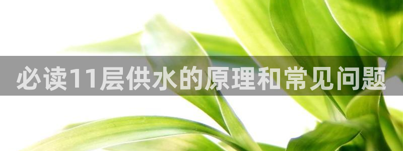 球友会友谊赛赛程赛果