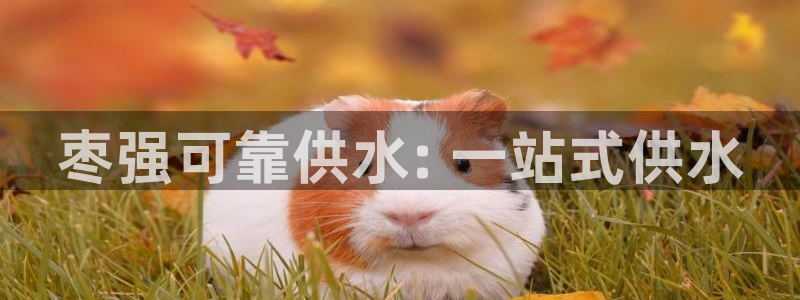球友会台球俱乐部