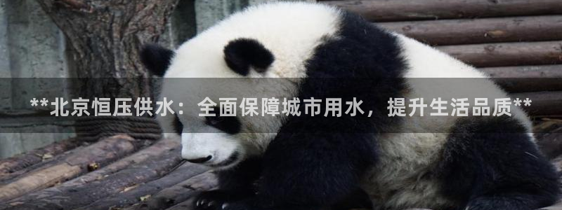 球友会怎么样