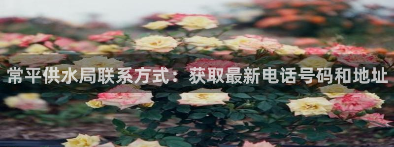 球友会娱乐
