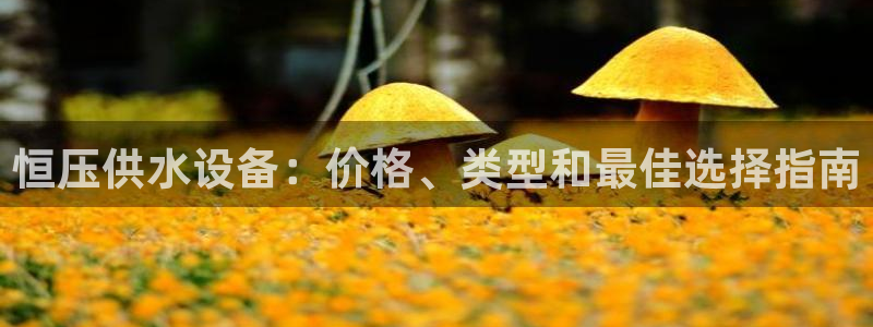 球友会提款审核中