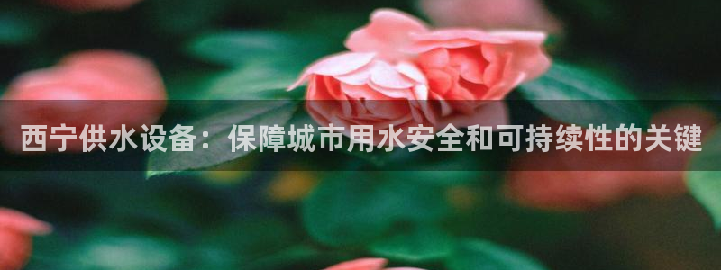 qy球友会体育官下载