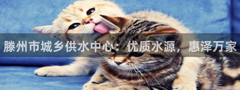 球友会·(QY)官方网站