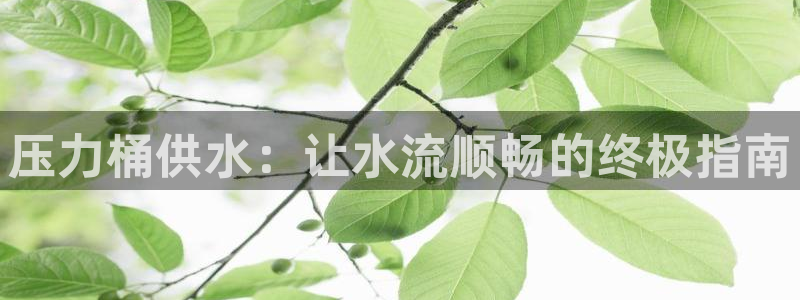 球友会比赛结果查询系统