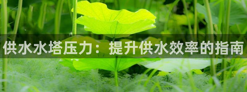 球友会体育官网
