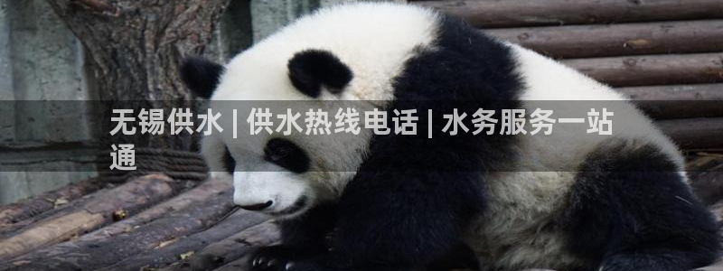 球友会app介绍
