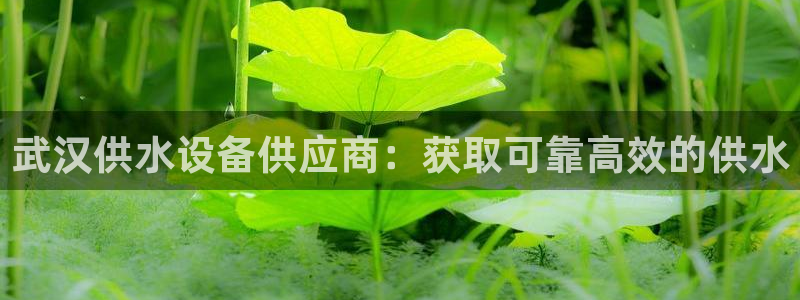 球友会app安全吗