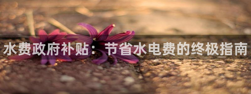 球友会下载