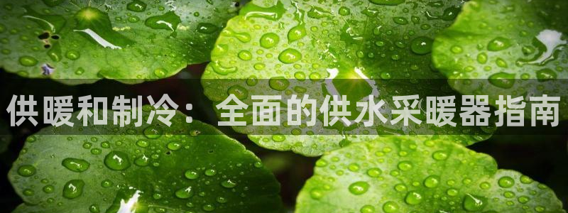 球友会的会字是哪个会