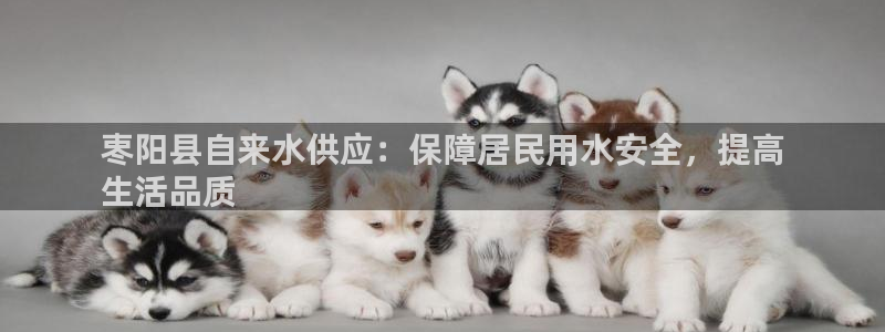 球友会体育app下载安卓最新版