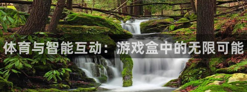 谈球吧：体育与智能互动：游戏盒中的无限可能