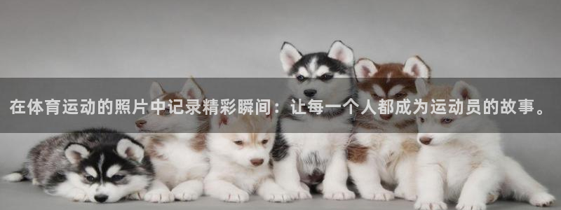 谈球吧体育官网：在体育运动的照片中记录精彩瞬间：让每一个人都成为运动员的故事。