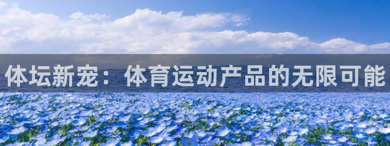 谈球吧体育：体坛新宠：体育运动产品的无限可能