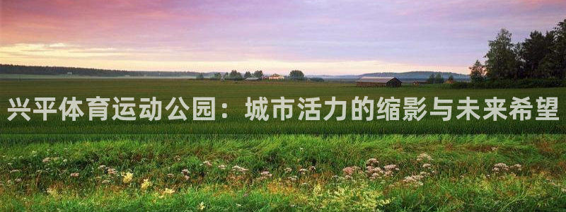 谈球吧：兴平体育运动公园：城市活力的缩影与未来希望