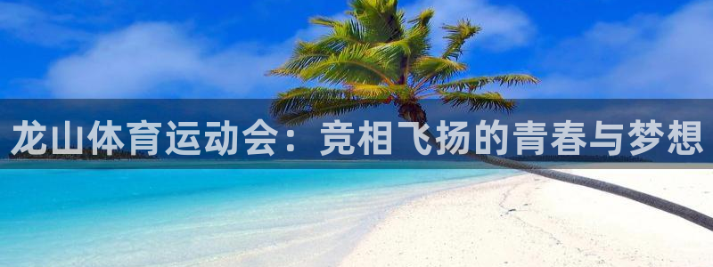 谈球吧：龙山体育运动会：竞相飞扬的青春与梦想