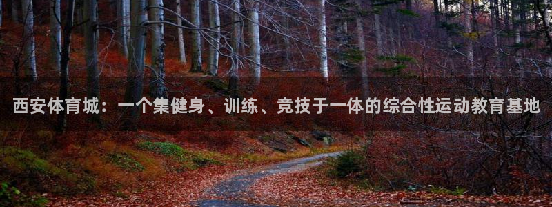 谈球吧体育：西安体育城：一个集健身、训练、竞技于一体的综合性运动教育基地