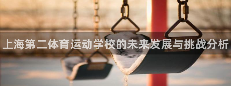 谈球吧：上海第二体育运动学校的未来发展与挑战分析