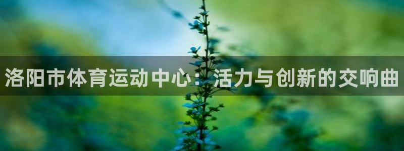 谈球吧体育官网：洛阳市体育运动中心：活力与创新的交响曲
