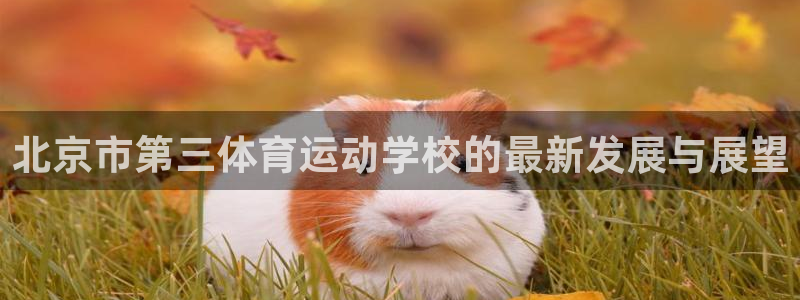 谈球吧体育：北京市第三体育运动学校的最新发展与展望