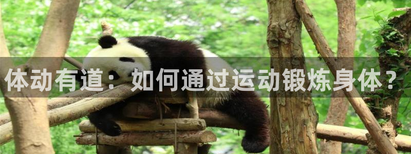 谈球吧体育官网：体动有道：如何通过运动锻炼身体？