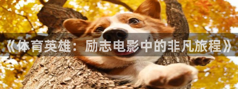 谈球吧：《体育英雄：励志电影中的非凡旅程》