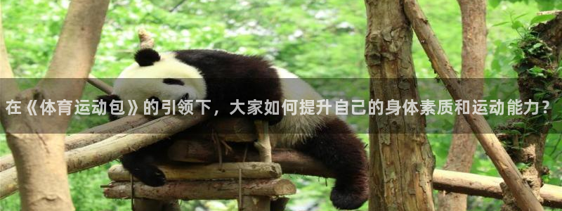 谈球吧：在《体育运动包》的引领下，大家如何提升自己的身体素质和运动能力？