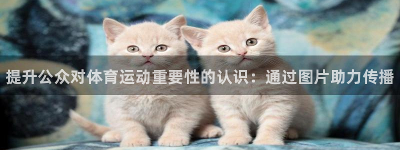 谈球吧体育：提升公众对体育运动重要性的认识：通过图片助力传播