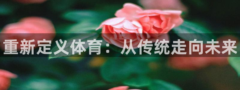 谈球吧：重新定义体育：从传统走向未来