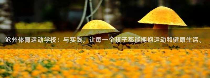 谈球吧：沧州体育运动学校：与实践，让每一个孩子都能拥抱运动和健康生活。
