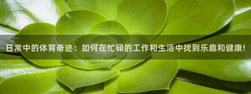 谈球吧体育官网：日常中的体育奇迹：如何在忙碌的工作和生活中找到乐趣和健康!