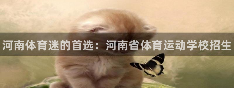 谈球吧：河南体育迷的首选：河南省体育运动学校招生