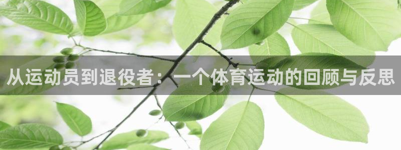 谈球吧：从运动员到退役者：一个体育运动的回顾与反思
