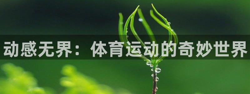 谈球吧：动感无界：体育运动的奇妙世界