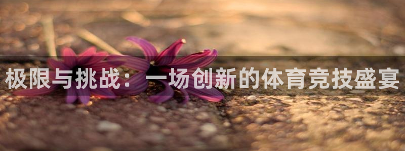 谈球吧体育：极限与挑战：一场创新的体育竞技盛宴