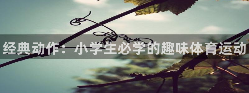 谈球吧体育官网：经典动作：小学生必学的趣味体育运动