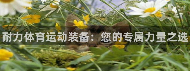 谈球吧体育官网：耐力体育运动装备：您的专属力量之选