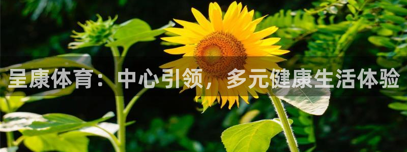 谈球吧体育：呈康体育：中心引领，多元健康生活体验