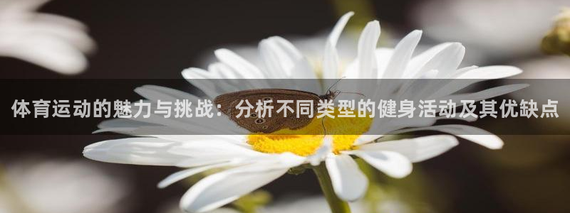 谈球吧体育：体育运动的魅力与挑战：分析不同类型的健身活动及其优缺点