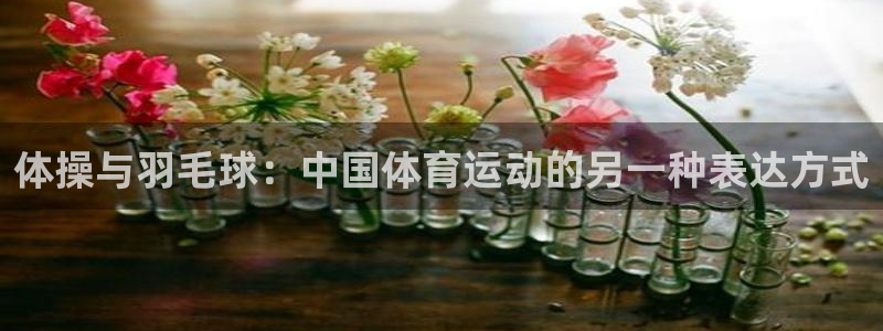 谈球吧：体操与羽毛球：中国体育运动的另一种表达方式
