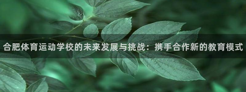 谈球吧体育官网：合肥体育运动学校的未来发展与挑战：携手合作新的教育模式