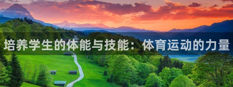 谈球吧：培养学生的体能与技能：体育运动的力量